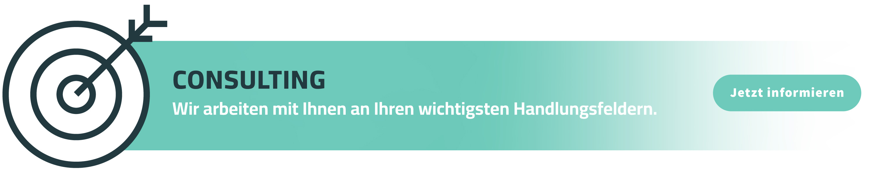 Teaser_Consulting_Consulting_2-3