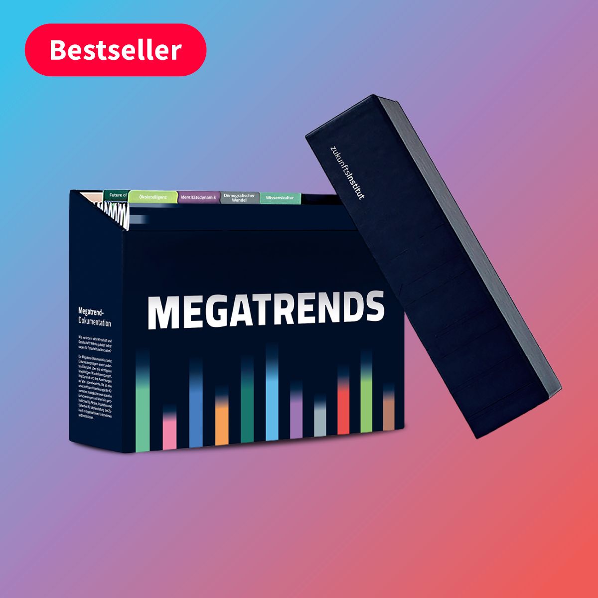 Megatrend-Dokumentation 2025